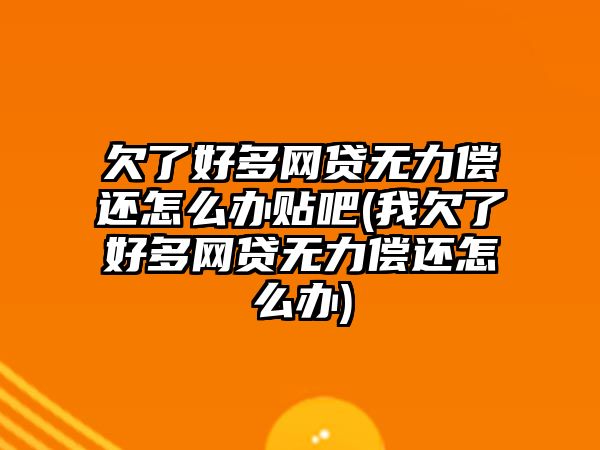 欠了好多網貸無力償還怎么辦貼吧(我欠了好多網貸無力償還怎么辦)