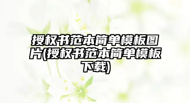 授權書范本簡單模板圖片(授權書范本簡單模板下載)