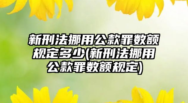 新刑法挪用公款罪數額規定多少(新刑法挪用公款罪數額規定)