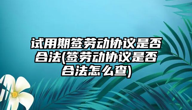 試用期簽勞動協議是否合法(簽勞動協議是否合法怎么查)