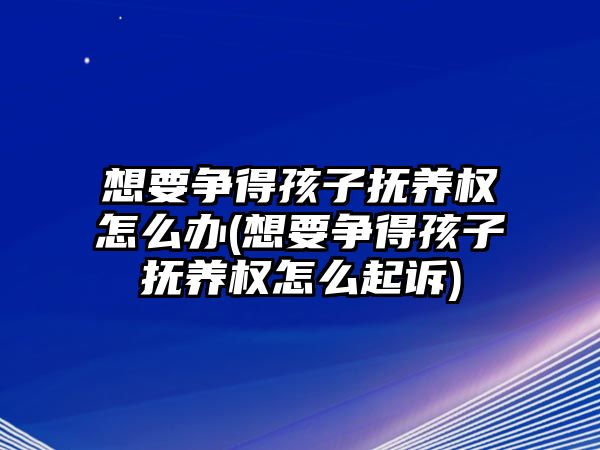 想要爭得孩子撫養權怎么辦(想要爭得孩子撫養權怎么起訴)