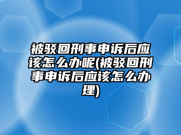 被駁回刑事申訴后應該怎么辦呢(被駁回刑事申訴后應該怎么辦理)