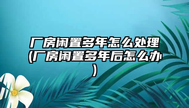 廠房閑置多年怎么處理(廠房閑置多年后怎么辦)