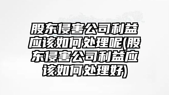 股東侵害公司利益應該如何處理呢(股東侵害公司利益應該如何處理好)