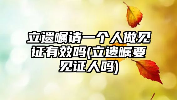 立遺囑請(qǐng)一個(gè)人做見證有效嗎(立遺囑要見證人嗎)