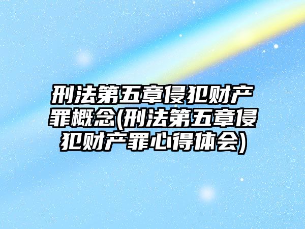 刑法第五章侵犯財(cái)產(chǎn)罪概念(刑法第五章侵犯財(cái)產(chǎn)罪心得體會(huì))