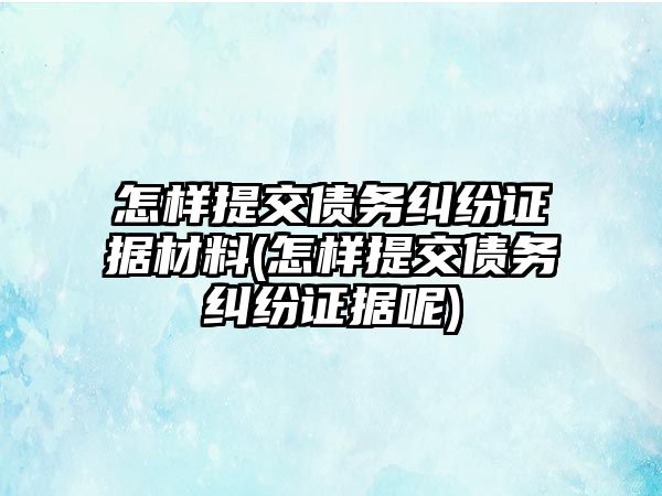 怎樣提交債務(wù)糾紛證據(jù)材料(怎樣提交債務(wù)糾紛證據(jù)呢)