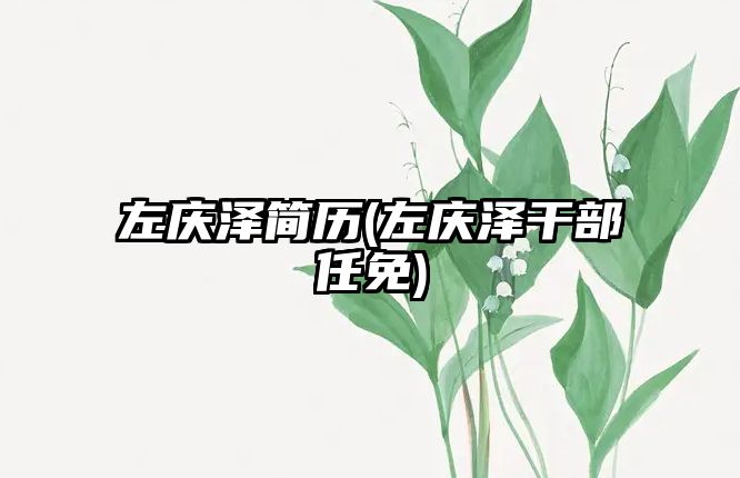 左慶澤簡(jiǎn)歷(左慶澤干部任免)