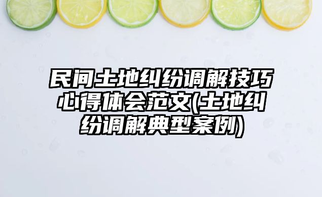 民間土地糾紛調(diào)解技巧心得體會(huì)范文(土地糾紛調(diào)解典型案例)