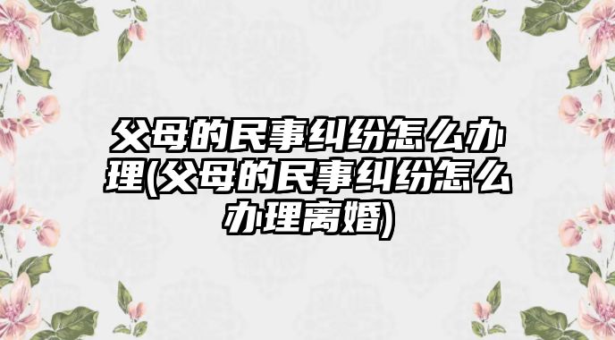 父母的民事糾紛怎么辦理(父母的民事糾紛怎么辦理離婚)