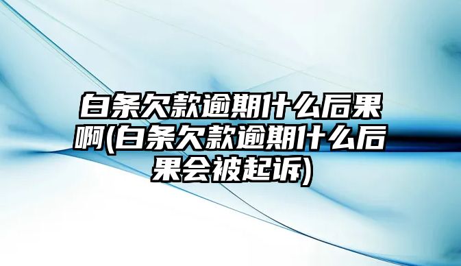 白條欠款逾期什么后果啊(白條欠款逾期什么后果會被起訴)