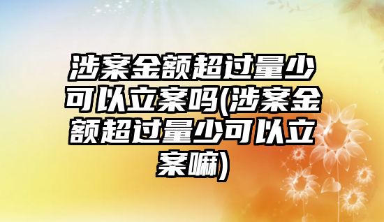 涉案金額超過(guò)量少可以立案嗎(涉案金額超過(guò)量少可以立案嘛)