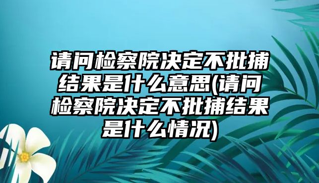 請問檢察院決定不批捕結果是什么意思(請問檢察院決定不批捕結果是什么情況)