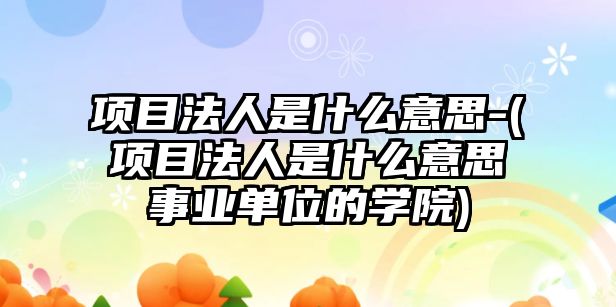 項目法人是什么意思-(項目法人是什么意思事業單位的學院)