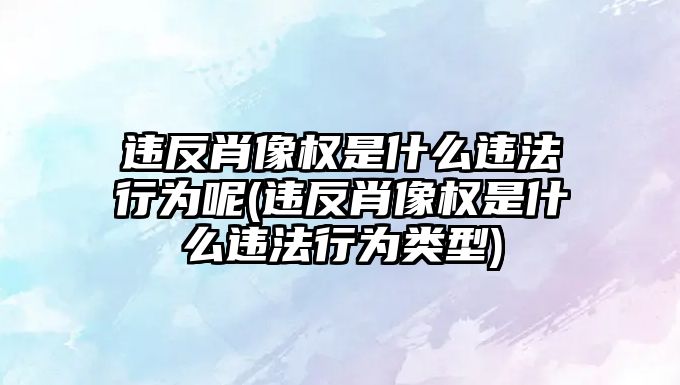 違反肖像權是什么違法行為呢(違反肖像權是什么違法行為類型)