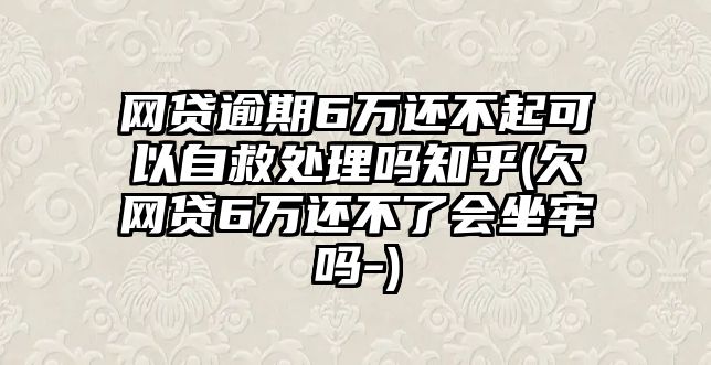 網貸逾期6萬還不起可以自救處理嗎知乎(欠網貸6萬還不了會坐牢嗎-)