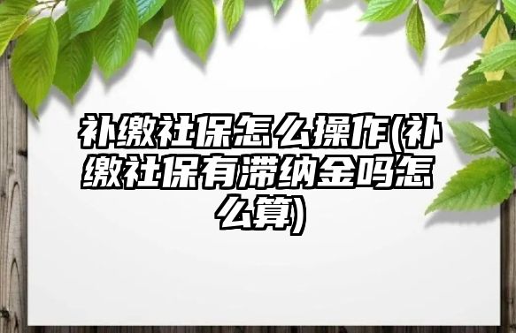 補(bǔ)繳社保怎么操作(補(bǔ)繳社保有滯納金嗎怎么算)