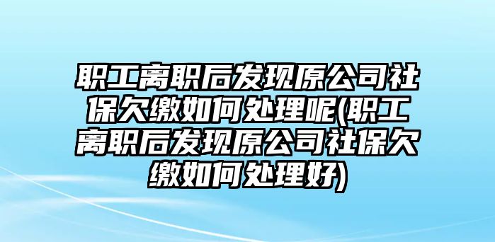 職工離職后發(fā)現(xiàn)原公司社保欠繳如何處理呢(職工離職后發(fā)現(xiàn)原公司社保欠繳如何處理好)