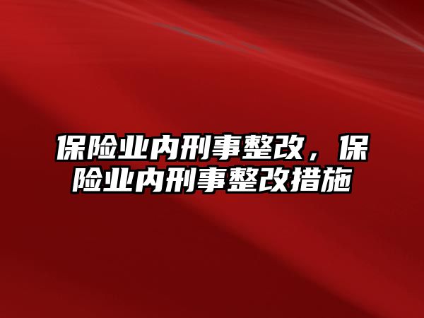 保險業內刑事整改，保險業內刑事整改措施