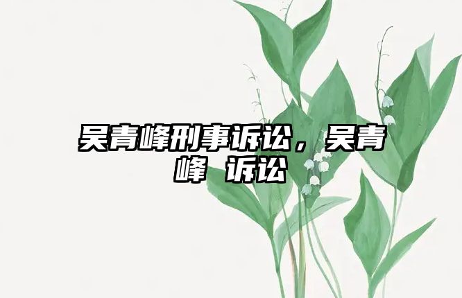 吳青峰刑事訴訟，吳青峰 訴訟