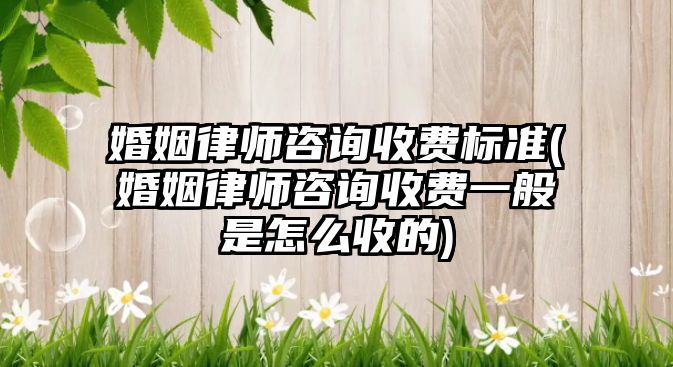 婚姻律師咨詢收費標準(婚姻律師咨詢收費一般是怎么收的)