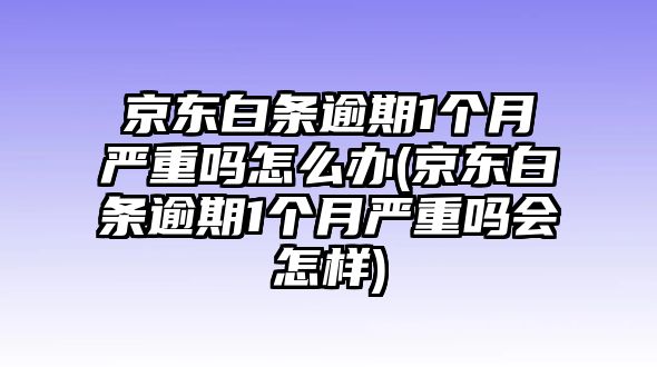 京東白條逾期1個月嚴重嗎怎么辦(京東白條逾期1個月嚴重嗎會怎樣)