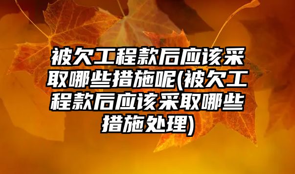 被欠工程款后應該采取哪些措施呢(被欠工程款后應該采取哪些措施處理)