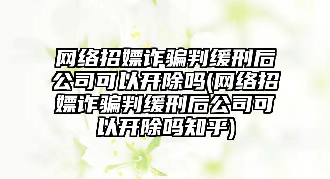 網(wǎng)絡招嫖詐騙判緩刑后公司可以開除嗎(網(wǎng)絡招嫖詐騙判緩刑后公司可以開除嗎知乎)