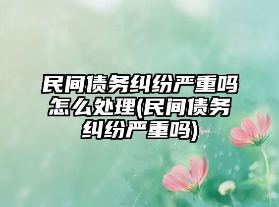 民間債務(wù)糾紛嚴(yán)重嗎怎么處理(民間債務(wù)糾紛嚴(yán)重嗎)