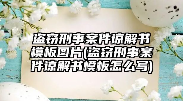 盜竊刑事案件諒解書模板圖片(盜竊刑事案件諒解書模板怎么寫)