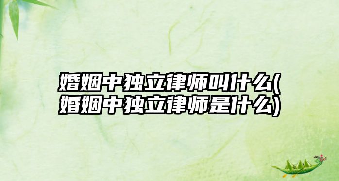 婚姻中獨立律師叫什么(婚姻中獨立律師是什么)