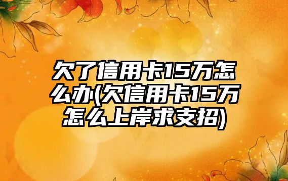 欠了信用卡15萬怎么辦(欠信用卡15萬怎么上岸求支招)