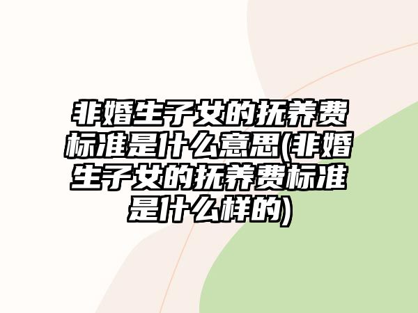 非婚生子女的撫養費標準是什么意思(非婚生子女的撫養費標準是什么樣的)