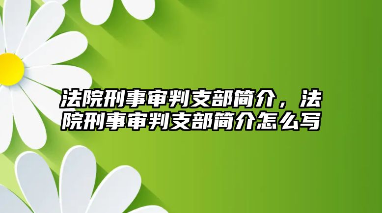 法院刑事審判支部簡介，法院刑事審判支部簡介怎么寫