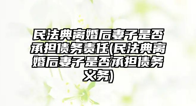 民法典離婚后妻子是否承擔債務責任(民法典離婚后妻子是否承擔債務義務)