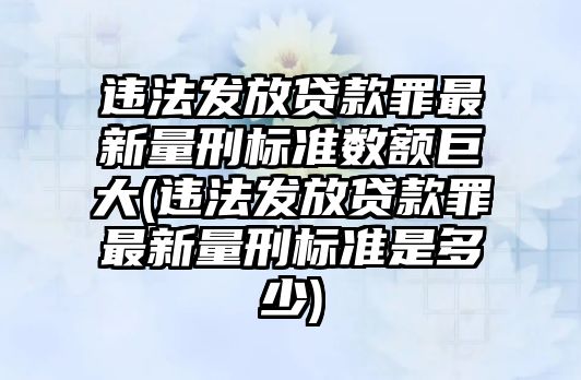 違法發放貸款罪最新量刑標準數額巨大(違法發放貸款罪最新量刑標準是多少)