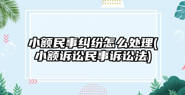 小額民事糾紛怎么處理(小額訴訟民事訴訟法)