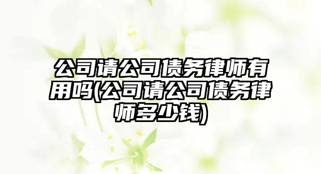 公司請公司債務律師有用嗎(公司請公司債務律師多少錢)