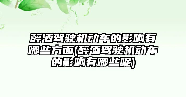 醉酒駕駛機動車的影響有哪些方面(醉酒駕駛機動車的影響有哪些呢)