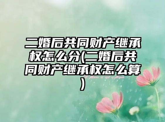 二婚后共同財產繼承權怎么分(二婚后共同財產繼承權怎么算)