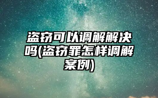 盜竊可以調解解決嗎(盜竊罪怎樣調解案例)