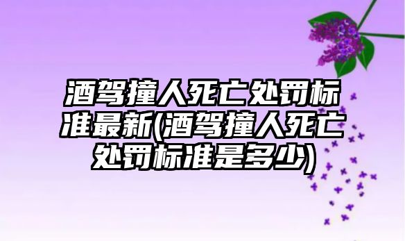 酒駕撞人死亡處罰標(biāo)準(zhǔn)最新(酒駕撞人死亡處罰標(biāo)準(zhǔn)是多少)