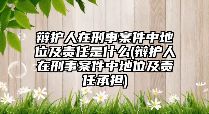 辯護(hù)人在刑事案件中地位及責(zé)任是什么(辯護(hù)人在刑事案件中地位及責(zé)任承擔(dān))