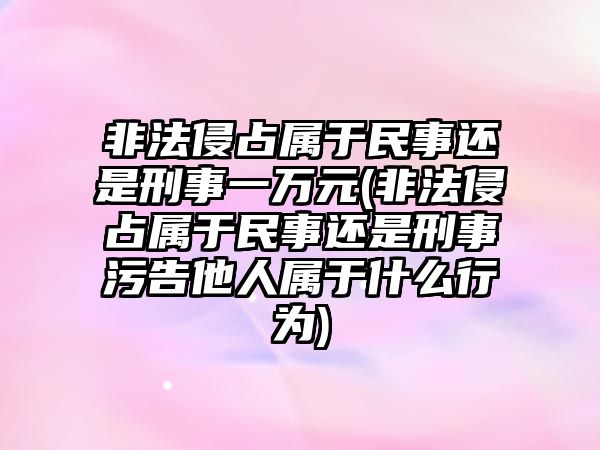 非法侵占屬于民事還是刑事一萬(wàn)元(非法侵占屬于民事還是刑事污告他人屬于什么行為)