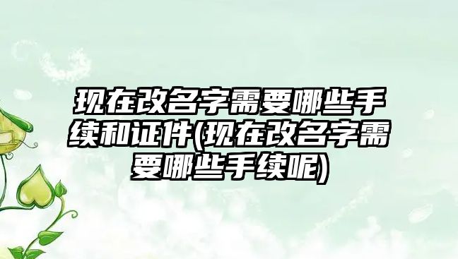 現在改名字需要哪些手續和證件(現在改名字需要哪些手續呢)