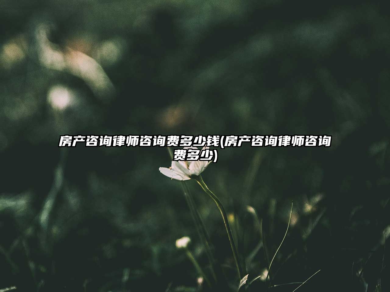 房產(chǎn)咨詢律師咨詢費(fèi)多少錢(房產(chǎn)咨詢律師咨詢費(fèi)多少)