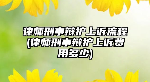 律師刑事辯護(hù)上訴流程(律師刑事辯護(hù)上訴費(fèi)用多少)