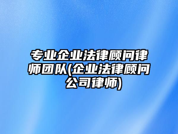 專(zhuān)業(yè)企業(yè)法律顧問(wèn)律師團(tuán)隊(duì)(企業(yè)法律顧問(wèn) 公司律師)