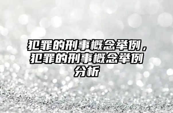 犯罪的刑事概念舉例，犯罪的刑事概念舉例分析