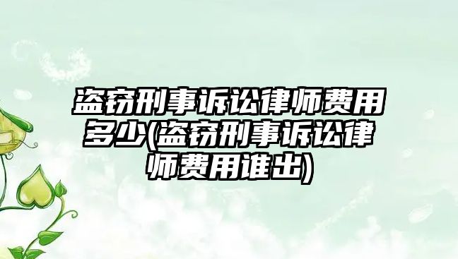 盜竊刑事訴訟律師費(fèi)用多少(盜竊刑事訴訟律師費(fèi)用誰出)